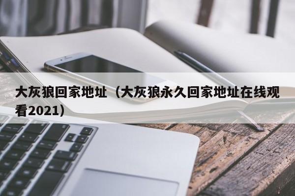 大灰狼回家地址(大灰狼永久回家地址在线观看2021)