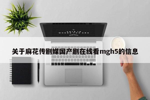 关于麻花传剧媒国产剧在线看mgh5的信息