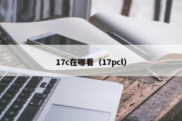 17c在哪看(17pcl)