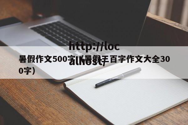 暑假作文500字(暑假三百字作文大全300字)